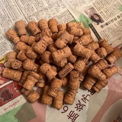 コルク詮