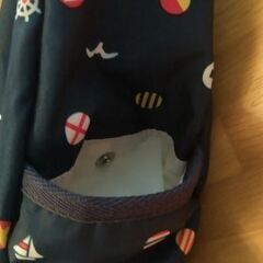 レスポートサック　LeSportsac　ショルダーバッグ　マリンテイストの画像