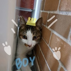 ひかえめな甘えん坊くん♡