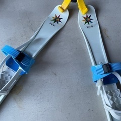 プラスチックスキーの画像