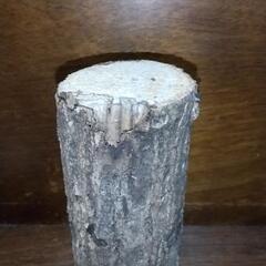 クワガタ  産卵木  細め  現品限りの画像
