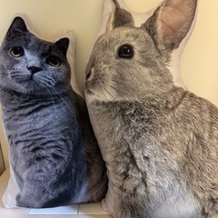 ニトリ クッション 2個 0円