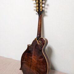 Eastman MD915 MD-915 イーストマン フラットマンドリン Fスタイルの画像