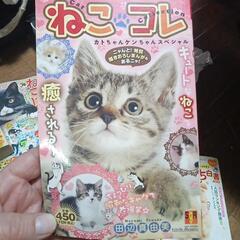 ねこぱんち５冊（決まりました）の画像