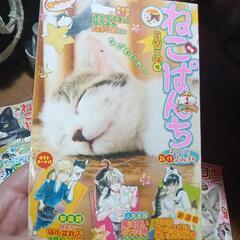 ねこぱんち５冊（決まりました）の画像