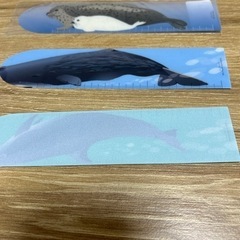 定規の画像
