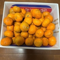 みかん
