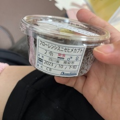 フローレンシスニセヒメカブトの2令幼虫