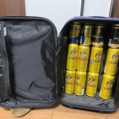 機内持ち込み可能なキャリーケース、キャリーバッグの画像