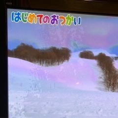 Panasonic  42型 VIERA TH-P42S3 テレビの画像