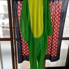 ワニのコスチューム　の画像