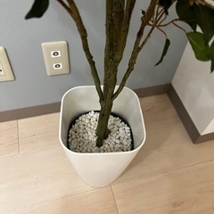 【東京都調布市】 フェイクグリーン 人工 観葉植物の画像