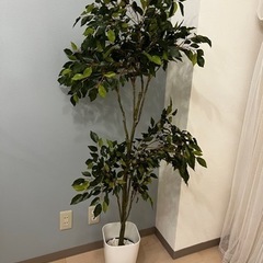 【東京都調布市】 フェイクグリーン 人工 観葉植物