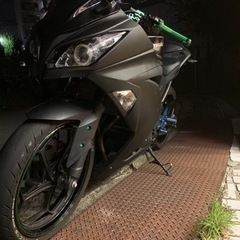 Ninja250SE ニンジャ250  Kawasaki カワサキの画像