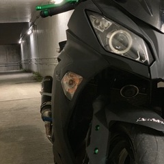 Ninja250SE ニンジャ250  Kawasaki カワサキの画像