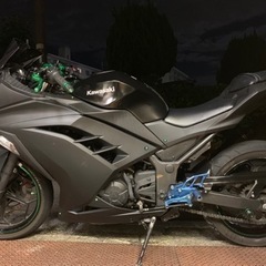 Ninja250SE ニンジャ250  Kawasaki カワサキの画像