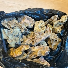 木化石　20個