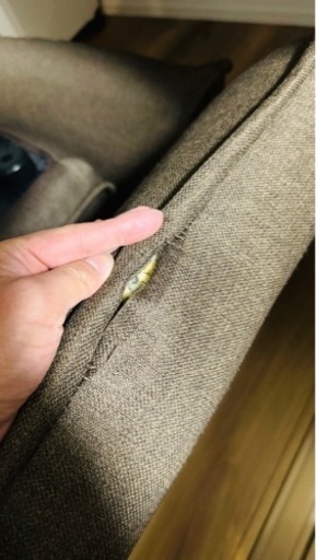 茶色 ソファー 2人掛け