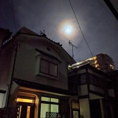 荷物だけでも置かせて貰えませんか？😭🙏視覚障害者団体【お好みーズ...