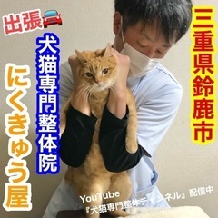 三重　🚘出張 🐩動物整体にくきゅう屋🐈