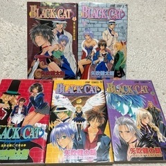 ブラックキャット　BLACK CAT   全20巻セット　矢吹健太朗　To LOVEる　迷い猫オーバーラン　あやかしトライアングルの画像