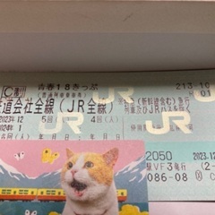 青春18きっぷ2回分