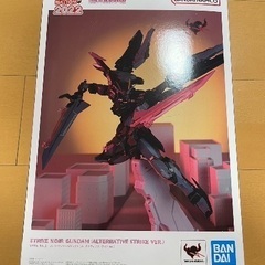 METAL BUILD ストライクノワールガンダム (オルタナテ...