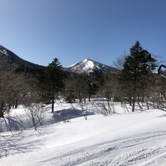 今日か明日、現地集合ですみかわ - 仙台市