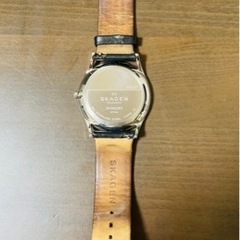 SKAGEN SKW6283の画像