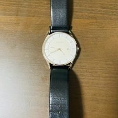 SKAGEN SKW6283の画像