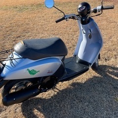 ホンダトゥデイ　配達可能 原付　の画像