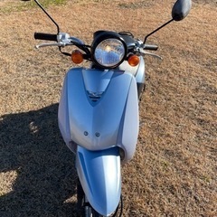 ホンダトゥデイ　配達可能 原付　の画像