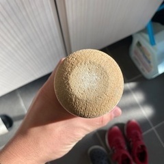 ミズノ　木製ノックバットの画像