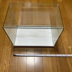 45cm水槽