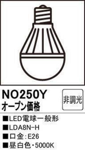日本製　オ－デリック製LED電球一般形色温度：5000K（昼白色）10個