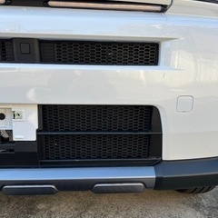 TAFT  タフト フロントグリル　ラジエーターガード　全面タイプ　ハニカムの画像