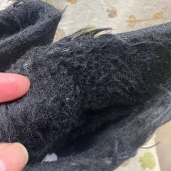 急募⭐️ブラック　ムートンブーツの画像