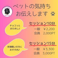 【9/19出店します】夜間飛行フライトマルシェ～三ノ宮～