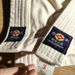 空手　胴着　の画像