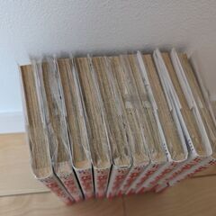 花君と恋する私セット100円の画像