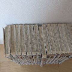 マギ　シンドバッドの冒険セット100円の画像
