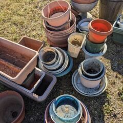  植木鉢、大量 無料の画像