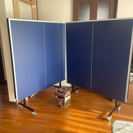 ティゴラ卓球台　セパレート式の移動タイプです。