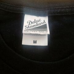 Ｔシャツ　レディースの画像