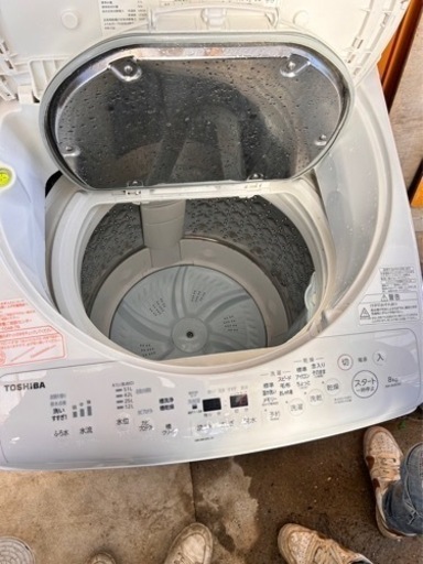 洗濯機2019年式TOSHIBA(ZABOON)