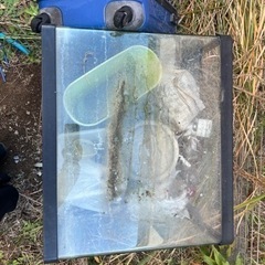 熱帯魚の水槽です！の画像