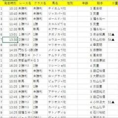 競馬の過去データの画像