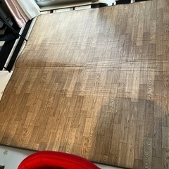 （決まりました）ホットカーペット　500円