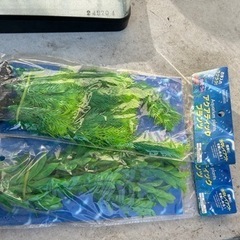 60cm水槽セットの画像