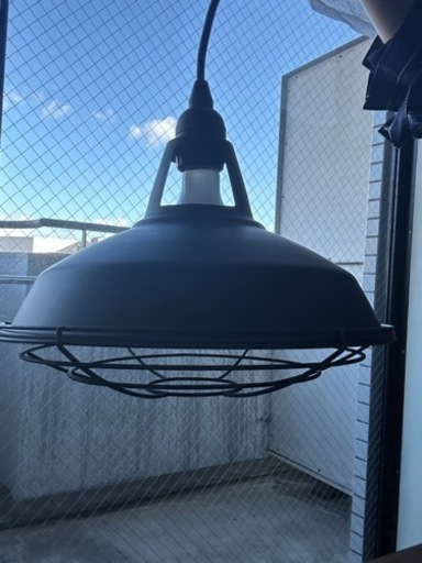 フランフラン電気